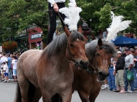 2009-06-21_0048