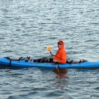 2008-09-09_1584