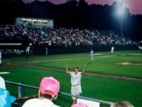 beehive_stadium_3