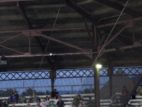 20110818_0248
