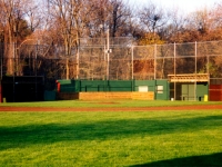 brewster_field_1