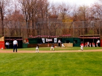 brewster_field_3