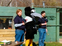 brewster_field_5