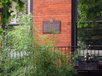 20100627_0521