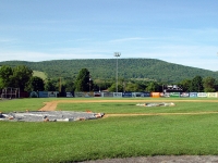 0306160084_damaschke_field