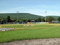 0306160094_damaschke_field