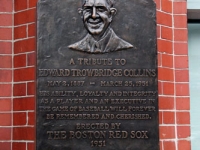 fenway_collins
