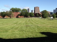 20130608_0240