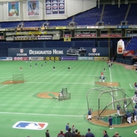 030511030_metrodome