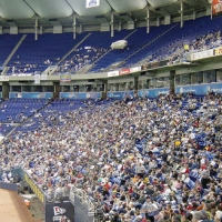 030511039_metrodome