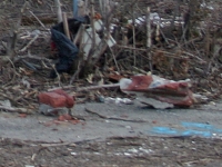 bricks