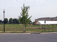 2008-08-13_0812