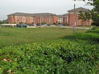 2008-08-13_0814