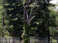 20120812_0036