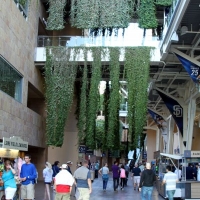 20140718_0096