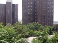 20100627_0527