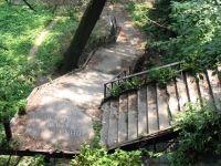 20100627_0532