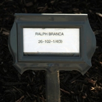 Branca_05