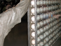 2009-06-02_0042